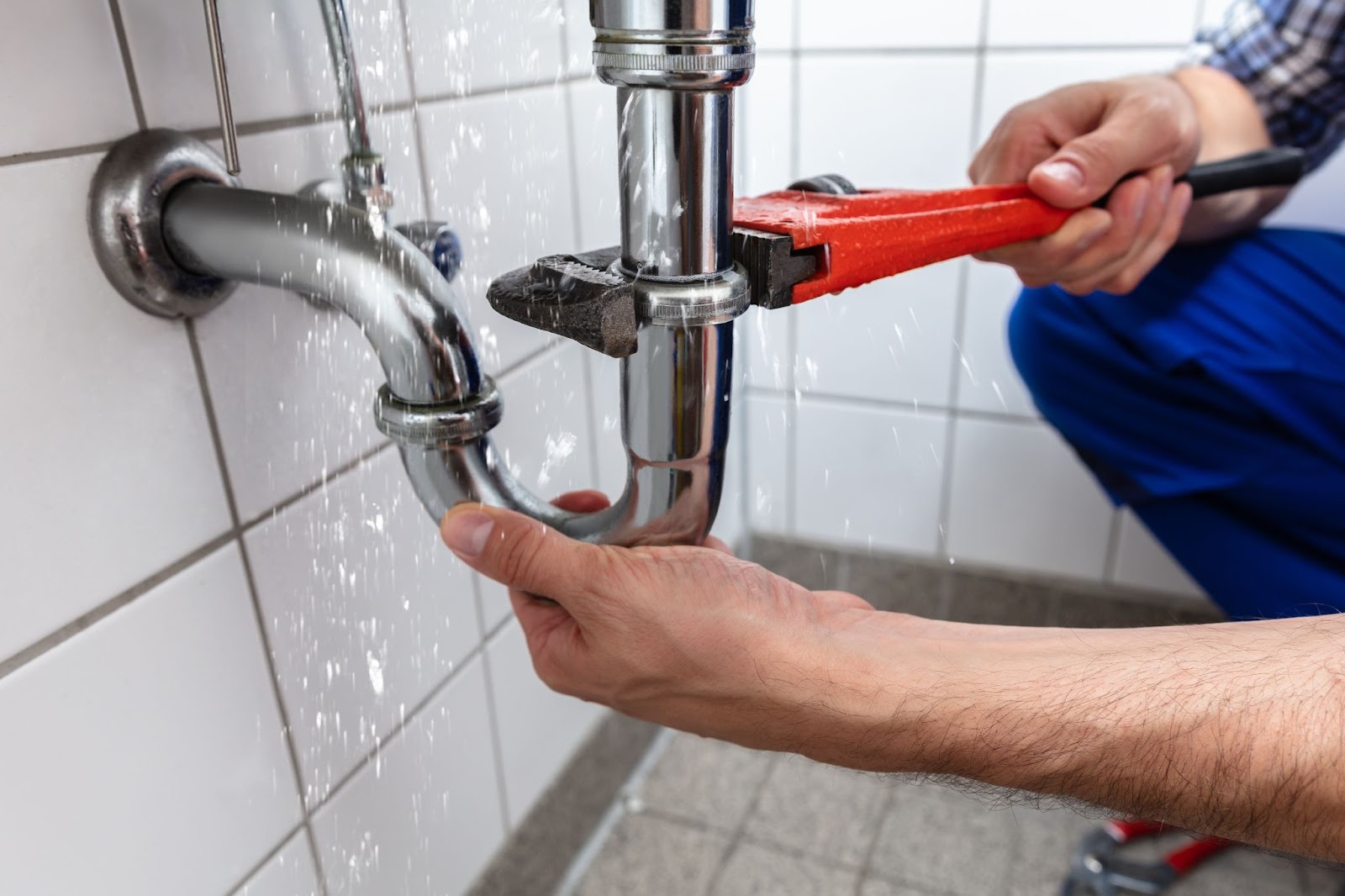 Bay Area Plumbing, Rooter & Services